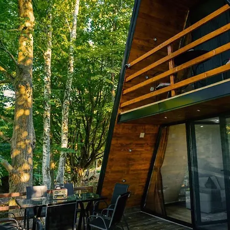 Miletic Villa Despotovac