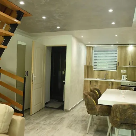 Villa Miletic *
