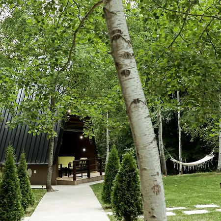 Miletic Villa