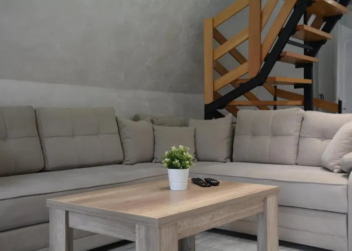 Miletic * 代斯波托瓦茨