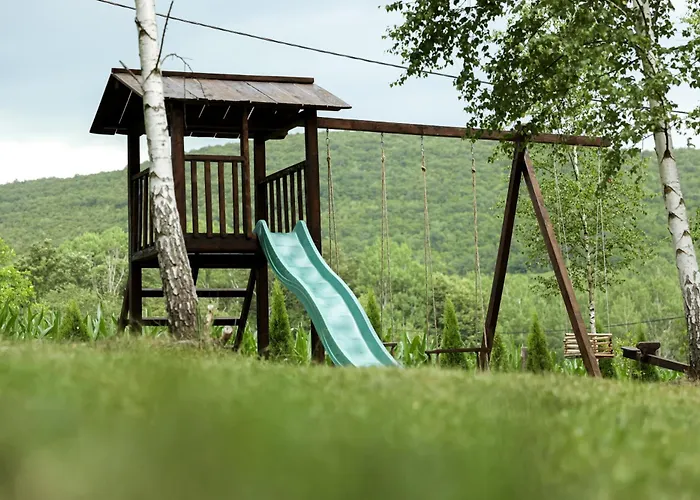 Miletic 代斯波托瓦茨